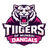 Tiigers of Mumbai Dangals